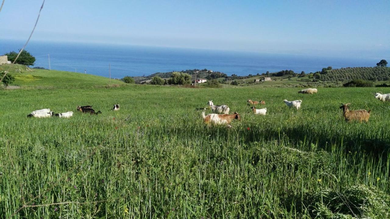 Agriturismo Masseria Tufaro Villa Albidona Eksteriør bilde